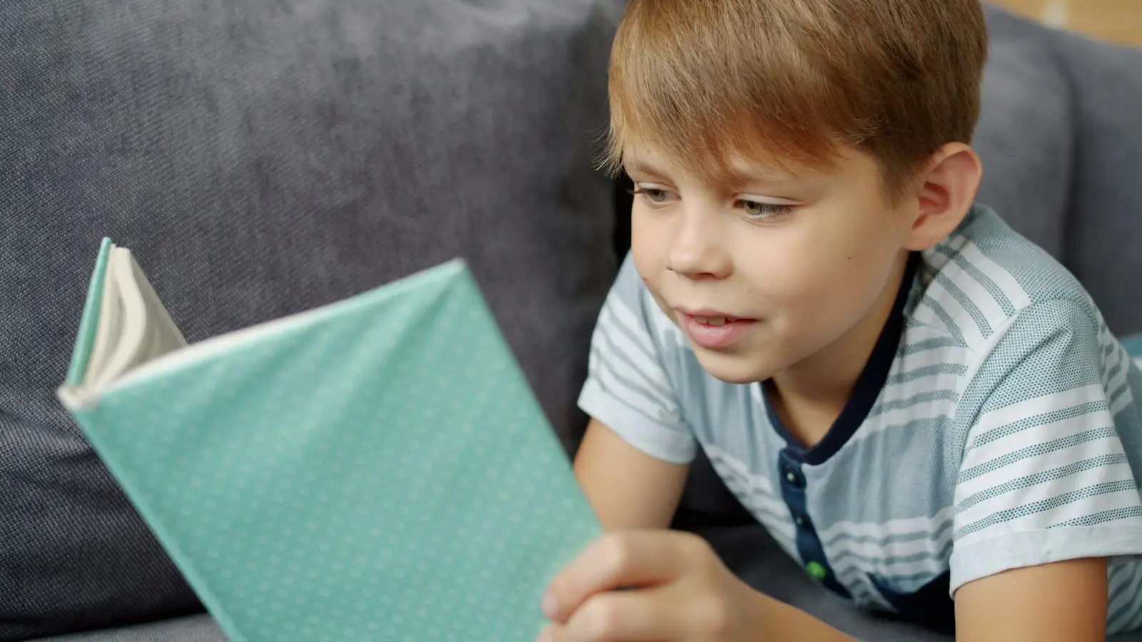 A boy reads a book on a sofa.